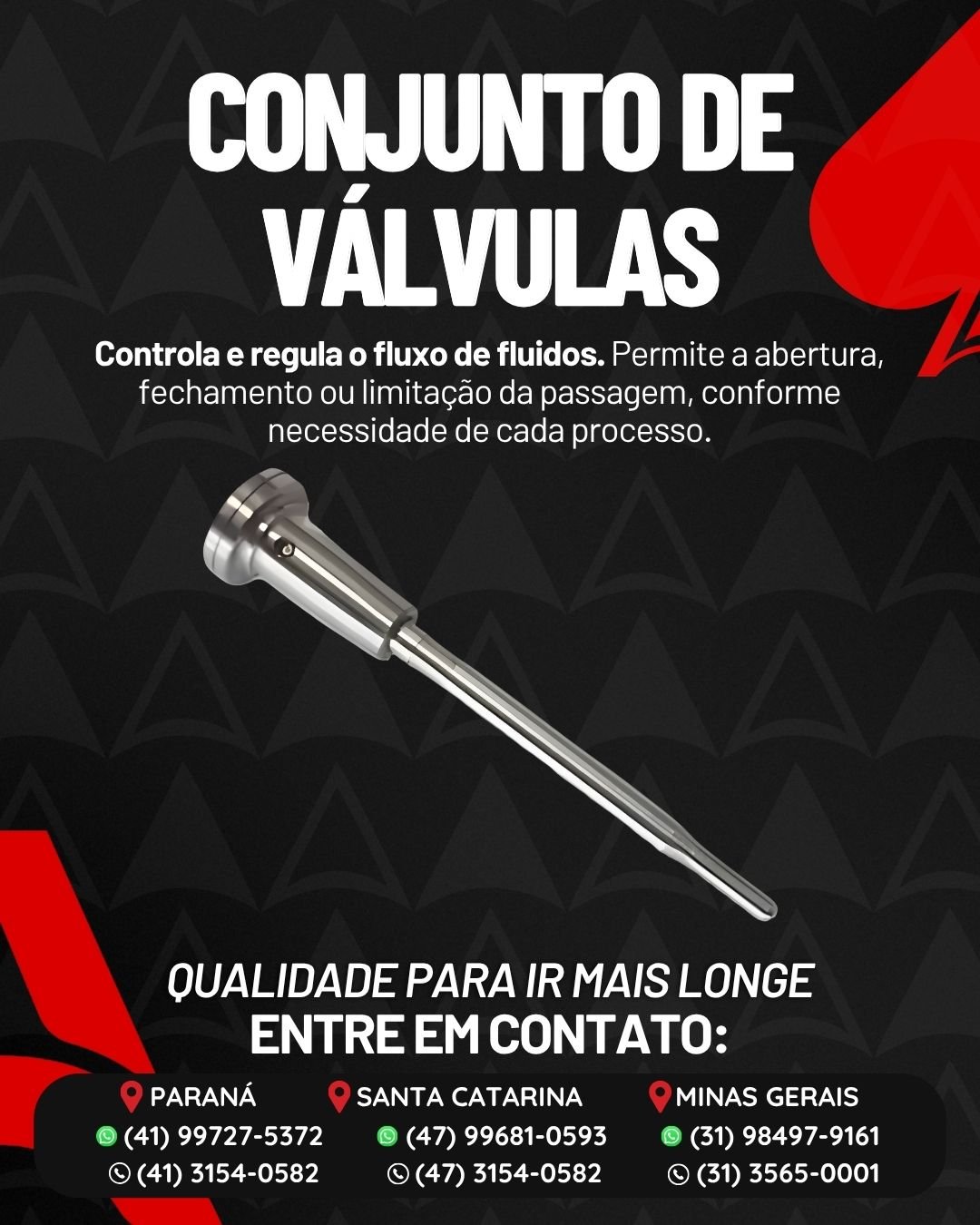Conjunto de Válvulas
